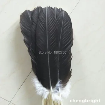 Velkoobchodní sada (12ks) kompletní eagle tail peří 40-45 cm /16-18 palců pro fázi oslav peří dekorace